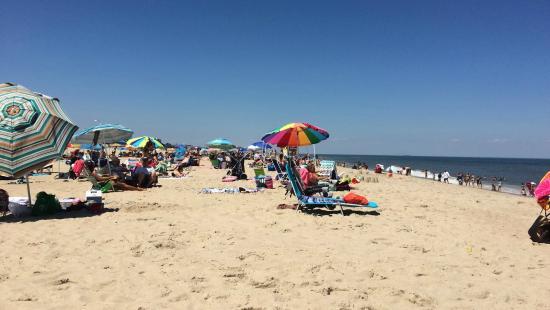 Delaware Seashore State Park
